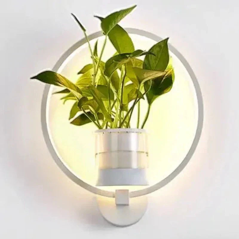 Wall Lamp Botanical Plant Holder Glare-Free Light