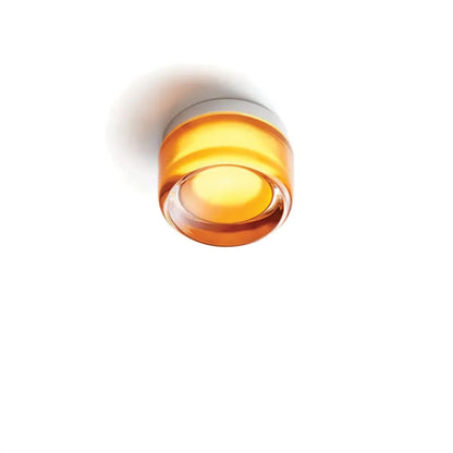 Wall Light Integrated LED Three Color Temperatures