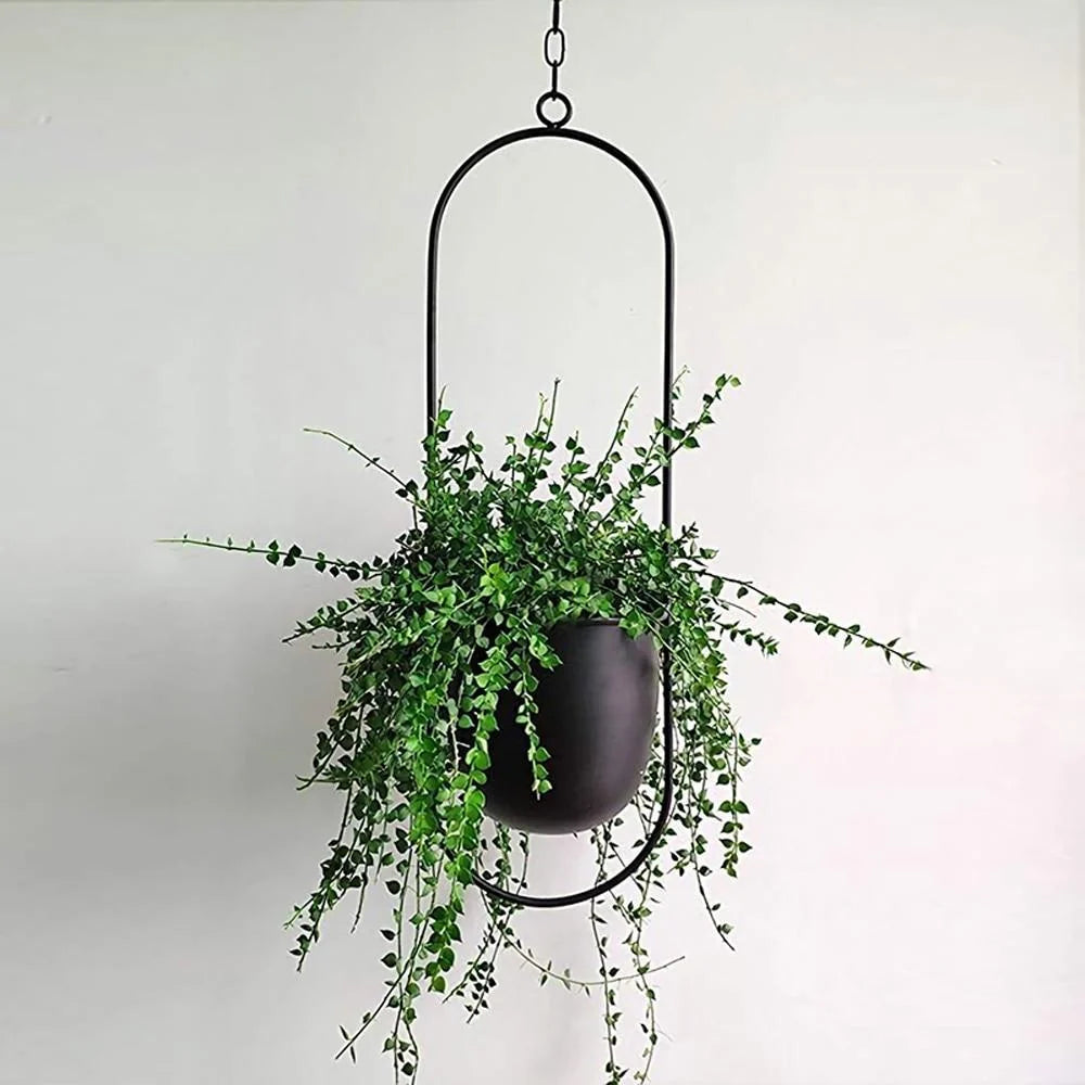 Wall-Mounted Plant Holder Iron Adjustable Chain Space-Saving