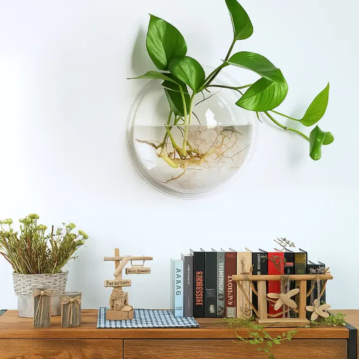 Wall Planter Peel & Stick Transparent Acrylic