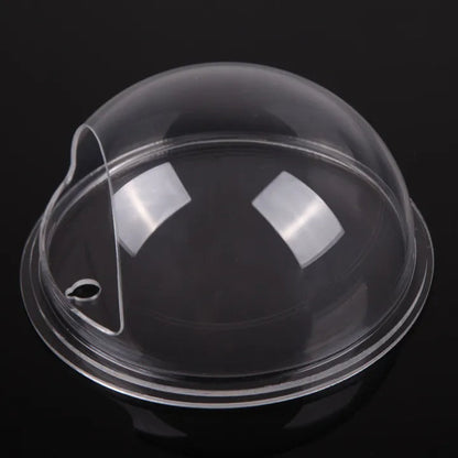 Wall Planter Peel & Stick Transparent Acrylic