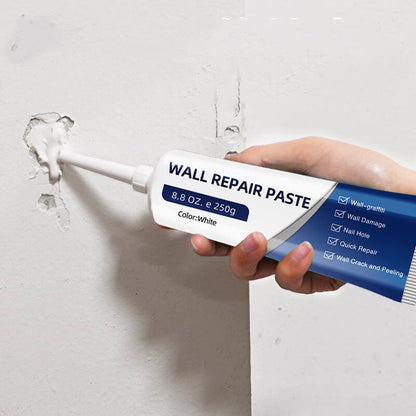 Wall Repair Paste Quick-Dry Paintable Waterproof & Mold Resistant