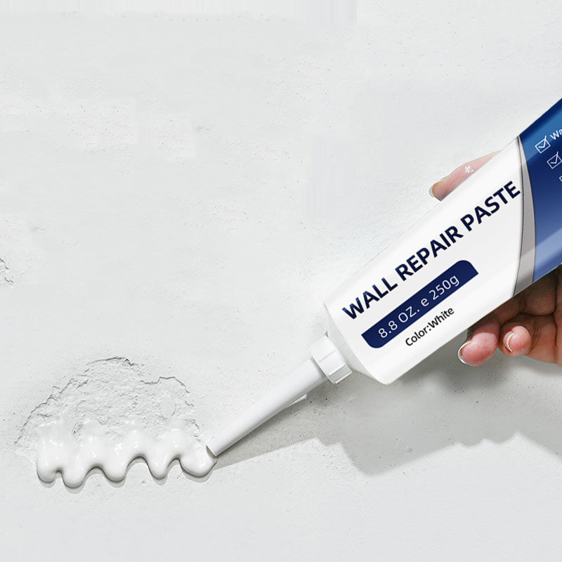 Wall Repair Paste Quick-Dry Paintable Waterproof & Mold Resistant
