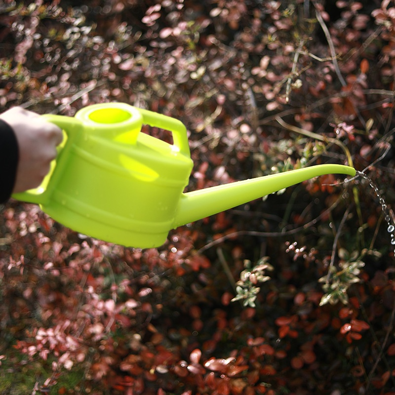 Watering Can Long Narrow Spout & Ergonomic Handle