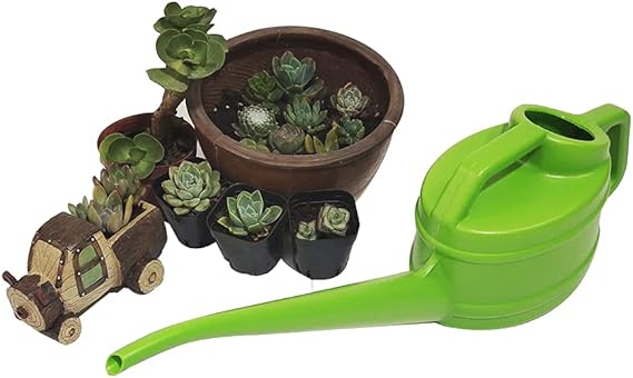 Watering Can Long Narrow Spout & Ergonomic Handle