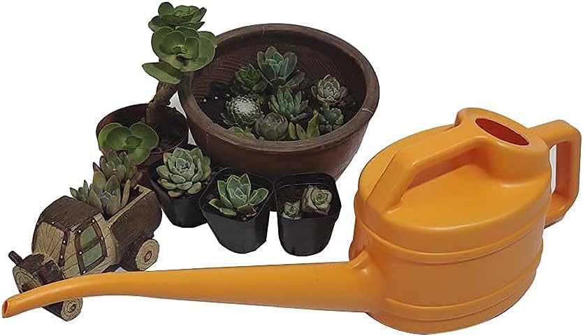 Watering Can Long Narrow Spout & Ergonomic Handle