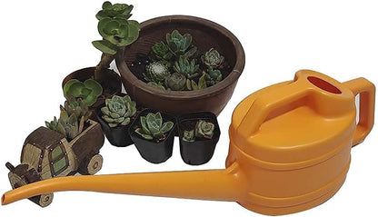 Watering Can Long Narrow Spout & Ergonomic Handle