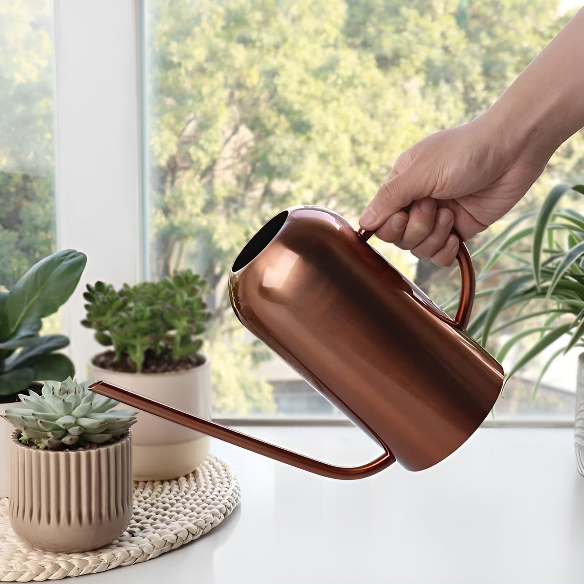 Watering Can Stainless Steel Long Precision Spout Ergonomic Handle