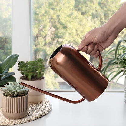 Watering Can Stainless Steel Long Precision Spout Ergonomic Handle