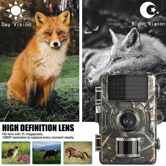Wildlife Camera No-Glow Infrared 1080p HD Waterproof IP66