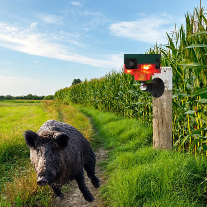 Wildlife Repeller Solar-Powered Motion Sensor with Flashing Lights & Sound Patterns