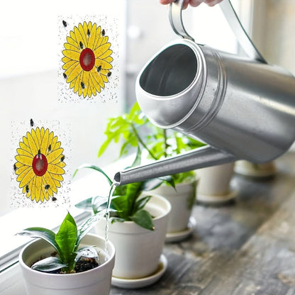Window Insect Traps Transparent Adhesive Non-Toxic Set of 6