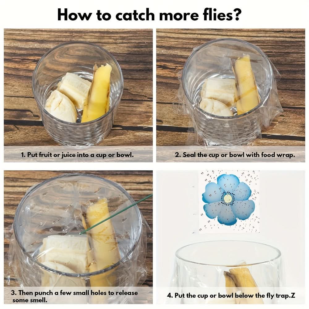 Window Insect Traps Transparent Adhesive Non-Toxic Set of 6