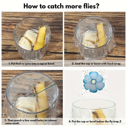 Window Insect Traps Transparent Adhesive Non-Toxic Set of 6