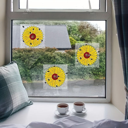 Window Insect Traps Transparent Adhesive Non-Toxic Set of 6