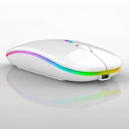 Wireless Mouse Rechargeable Bluetooth & USB Receiver